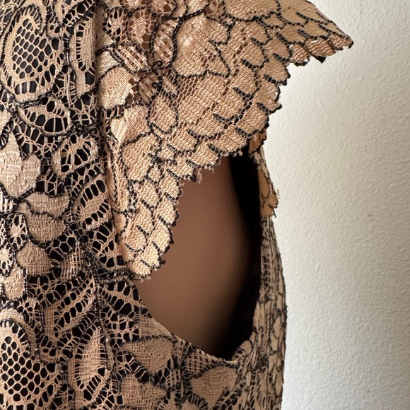 CALVIN KLEIN Tan and Back Lace Sheath Dress Size 10 - Picture 8 of 13